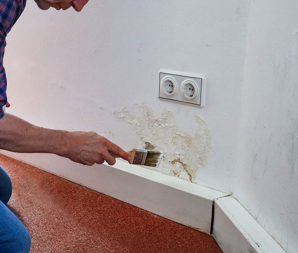 Mann überstreicht eine feuchte Wand.